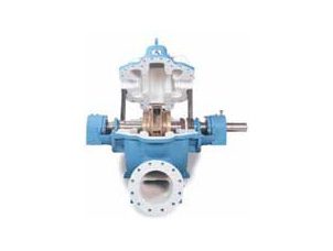 Industrial pump cutaway view