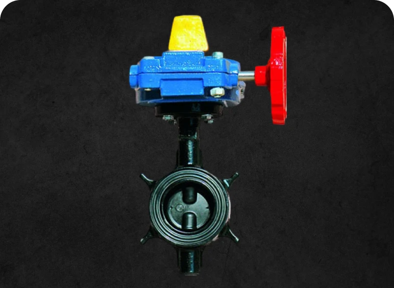 Blue and black valve mechanism